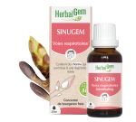 SINUGEM (Complex Airway)